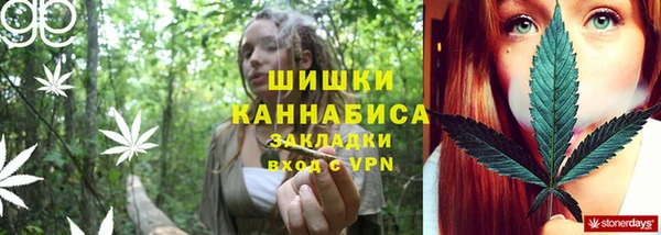 молекула духа Волосово