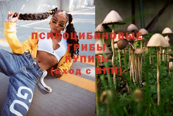 гидропоника Володарск