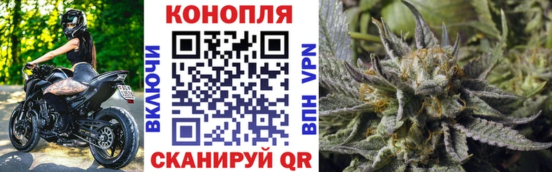 Канабис семена  hydra ТОР  Александровское 